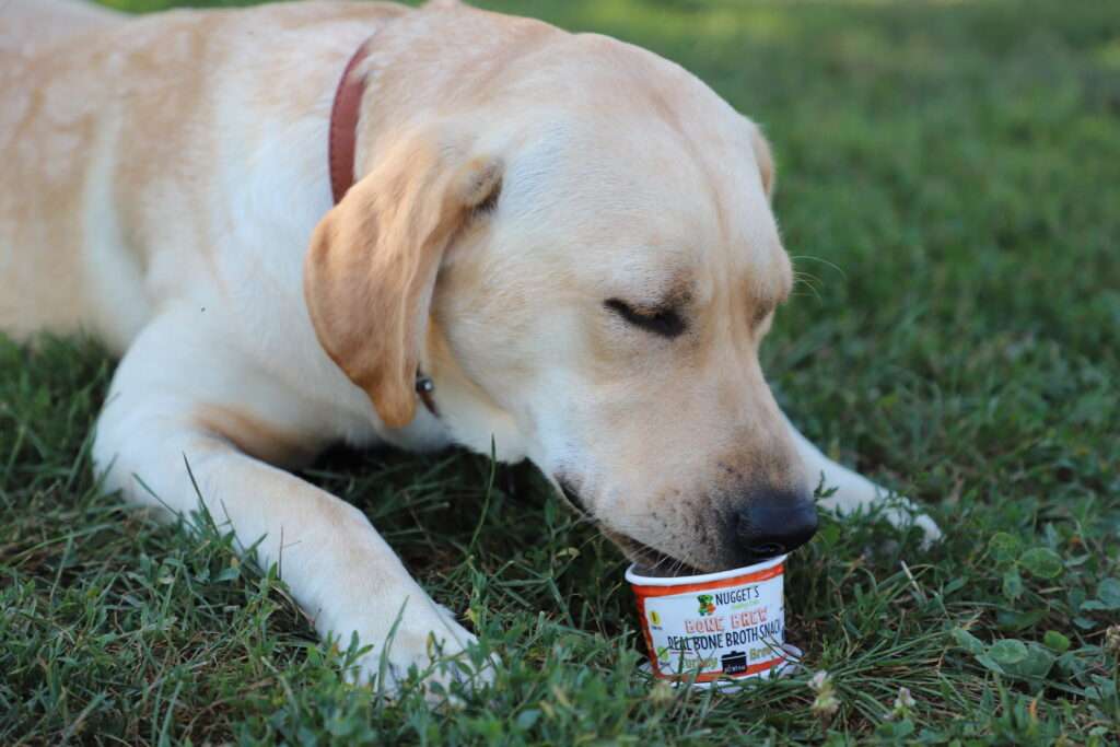 can dogs drink chicken broth