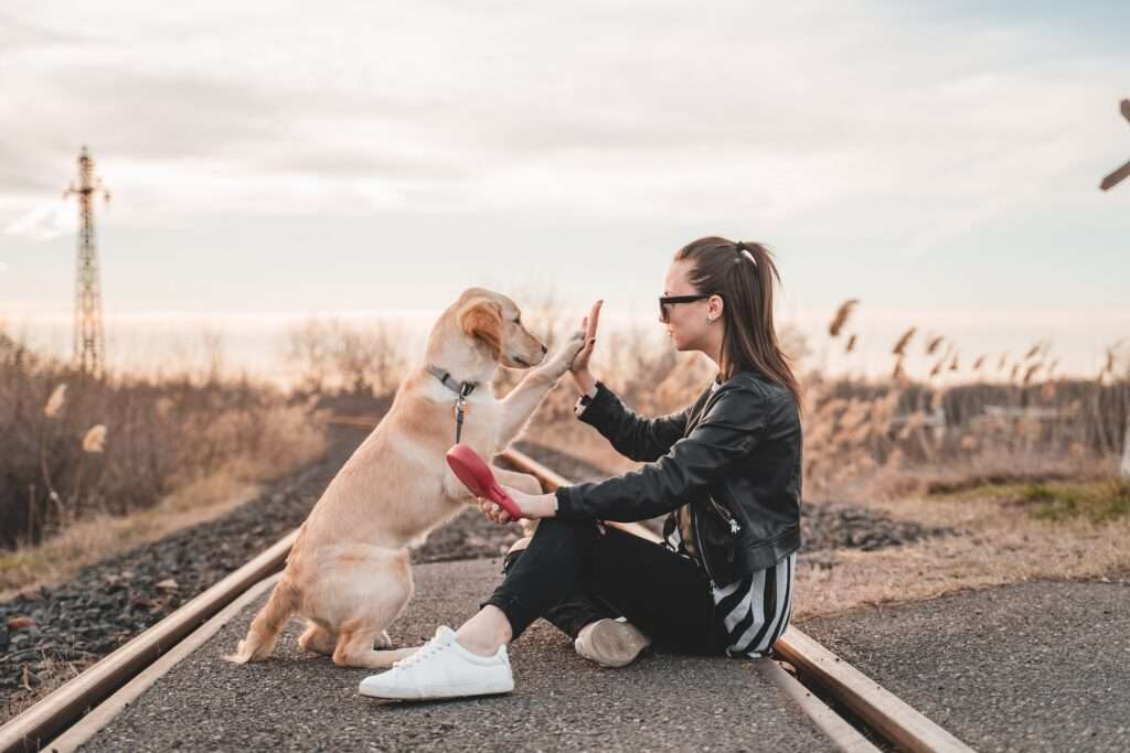 how to stop a dog from eating poop