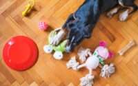 how to wash dog toys