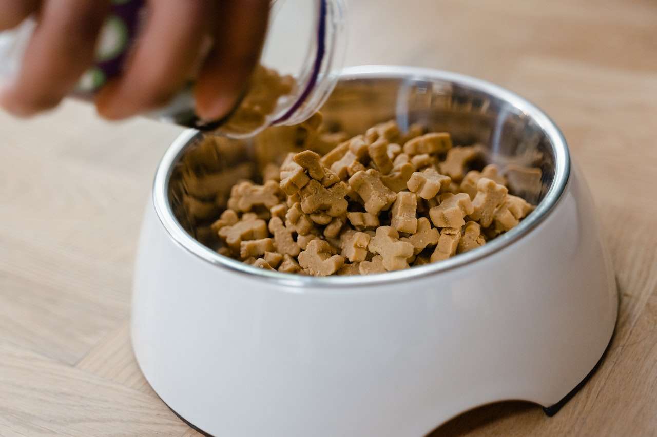 How Many Cups in a Pound of Dog Food The Must Know Answer for