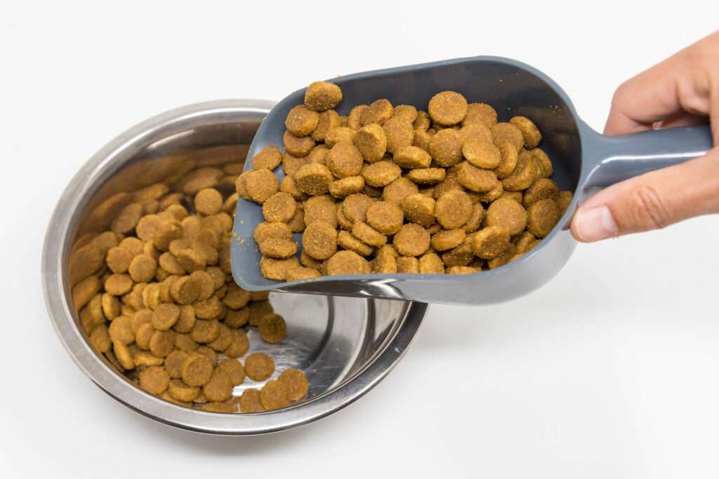 how many cups of dog food in a pound