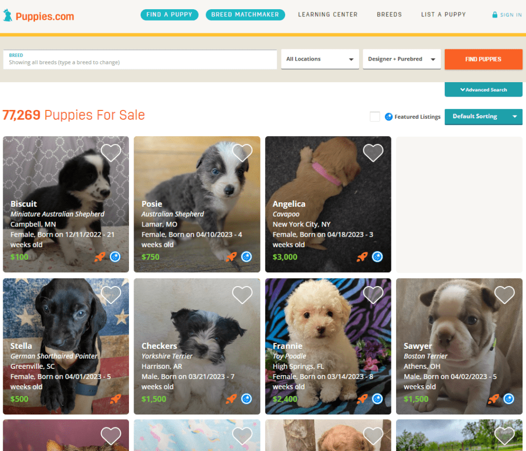 sell puppies