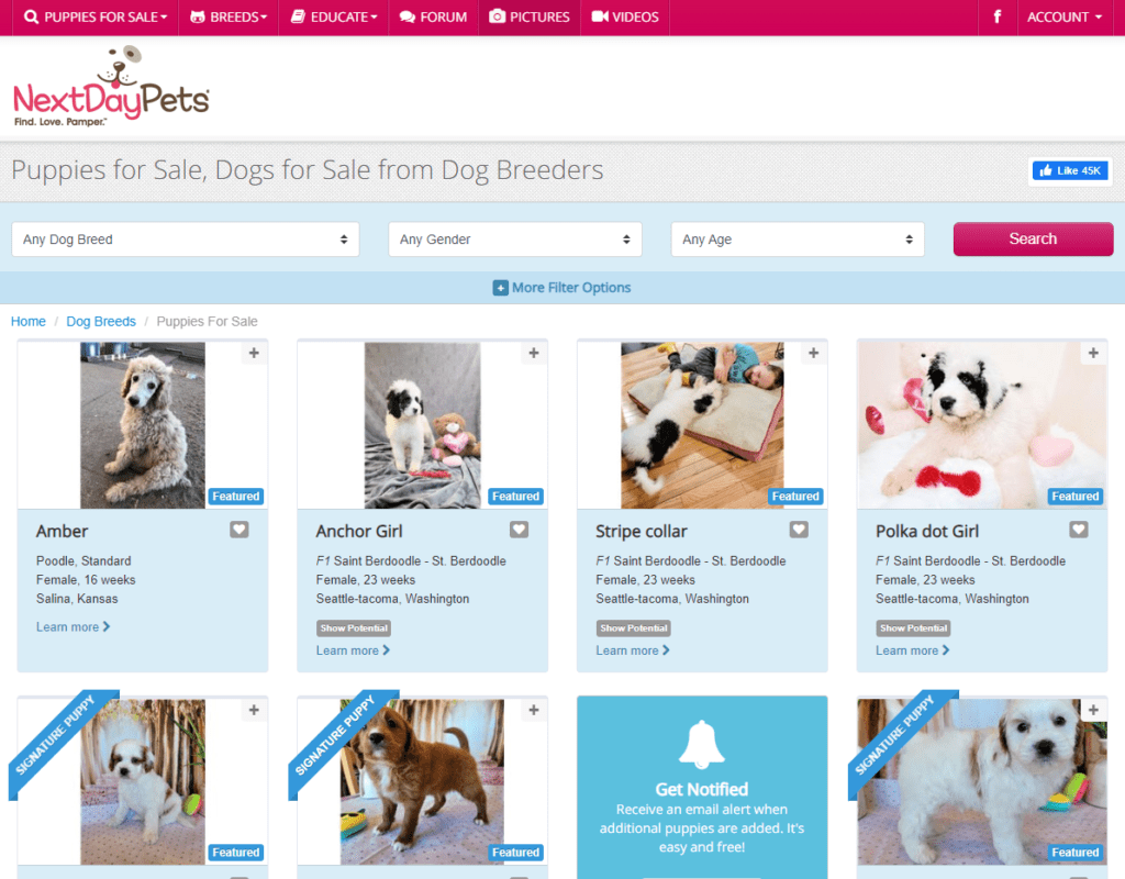 sell puppies online