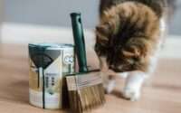 best cat brush for long hair