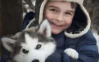 are huskies good with kids